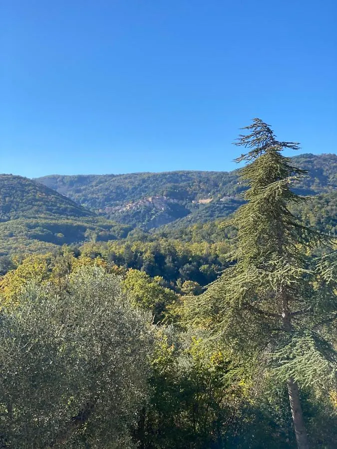 Villa Cresci Con Piscina Sassetta Daire
