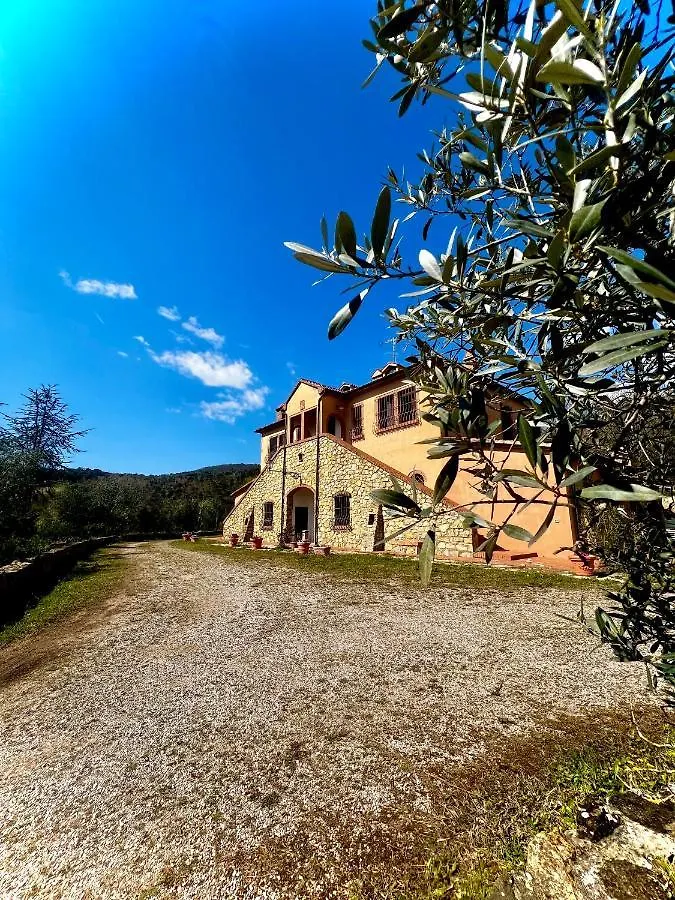Διαμέρισμα Villa Cresci Con Piscina Sassetta